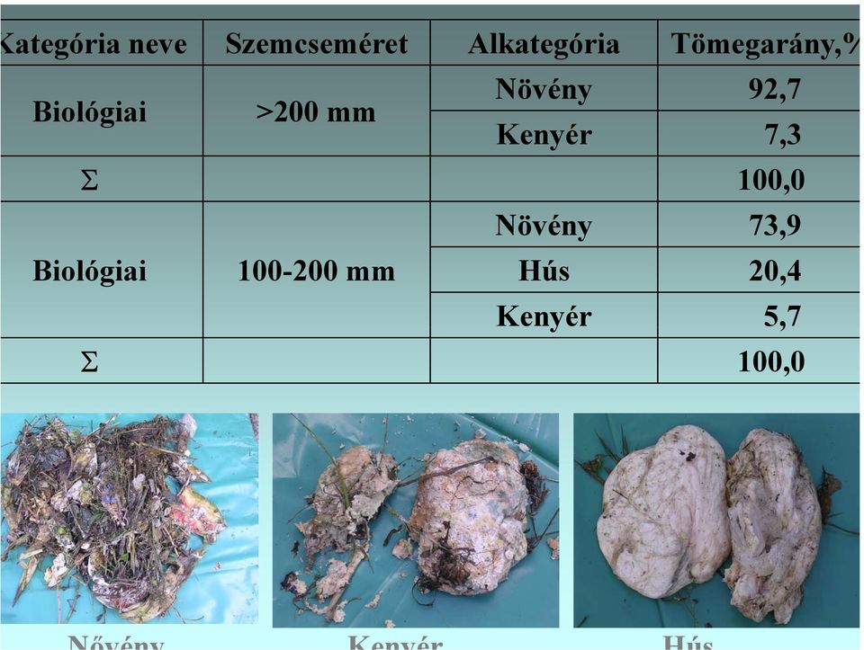 92,7 Kenyér 7,3 Σ 100,0 Növény 73,9