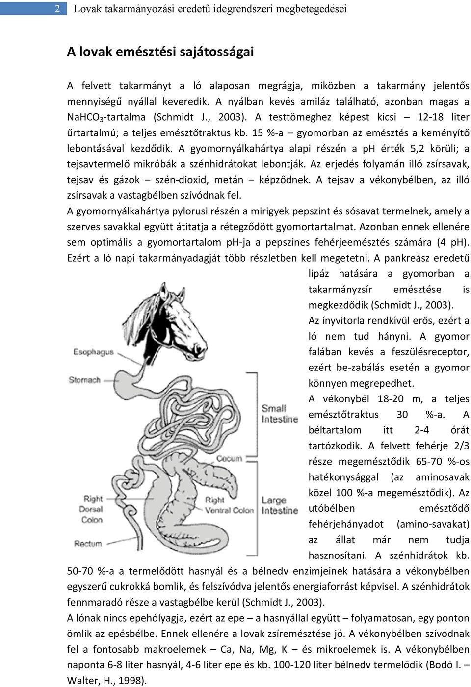 15 %-a gyomorban az emésztés a keményítő lebontásával kezdődik. A gyomornyálkahártya alapi részén a ph érték 5,2 körüli; a tejsavtermelő mikróbák a szénhidrátokat lebontják.