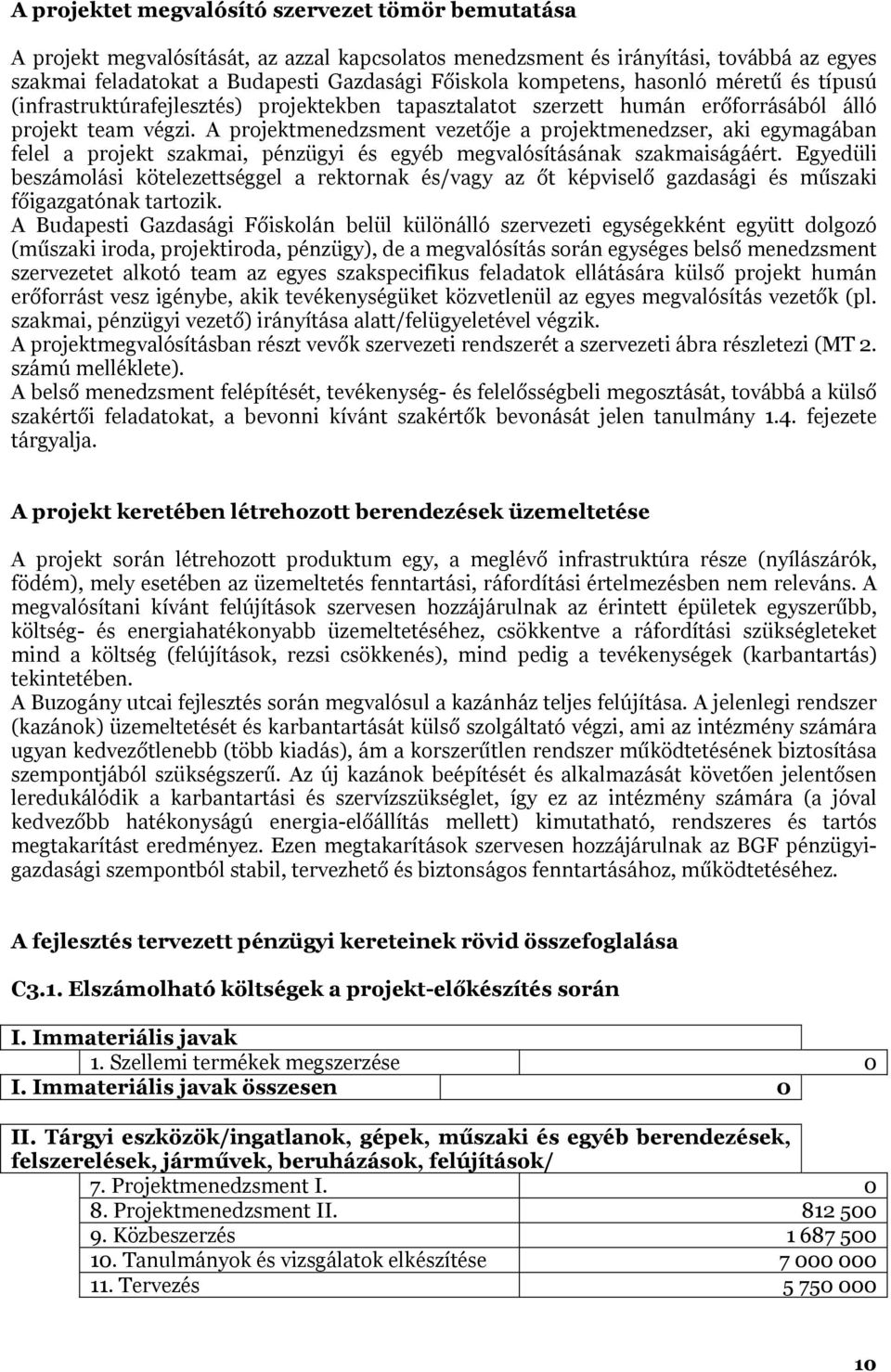 A projektmenedzsment vezetője a projektmenedzser, aki egymagában felel a projekt szakmai, pénzügyi és egyéb megvalósításának szakmaiságáért.