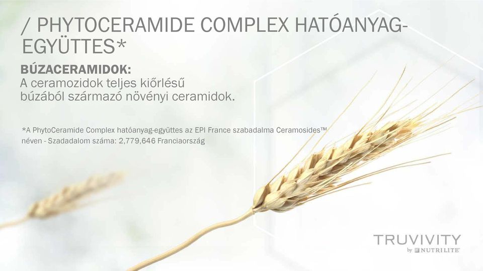 *A PhytoCeramide Complex hatóanyag-együttes az EPI France
