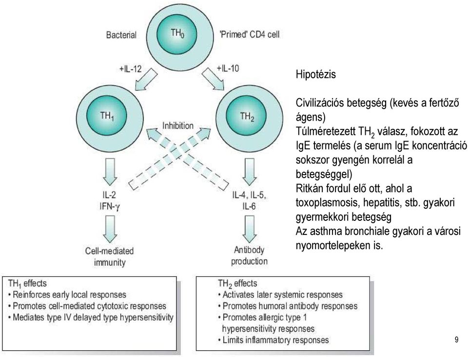 korrelál a betegséggel) Ritkán fordul elő ott, ahol a toxoplasmosis, hepatitis,