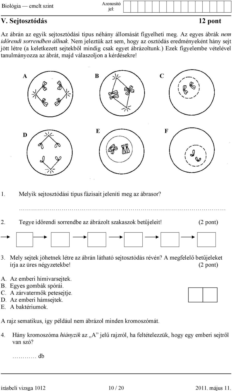 ) Ezek figyelembe vételével tanulmányozza az ábrát, majd válaszoljon a kérdésekre! A B C D E F 1. Melyik sejtosztódási típus fázisait jeleníti meg az ábrasor? 2.