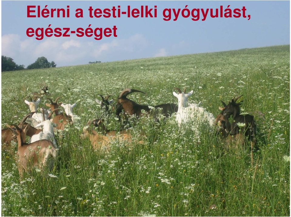 gyógyulást,