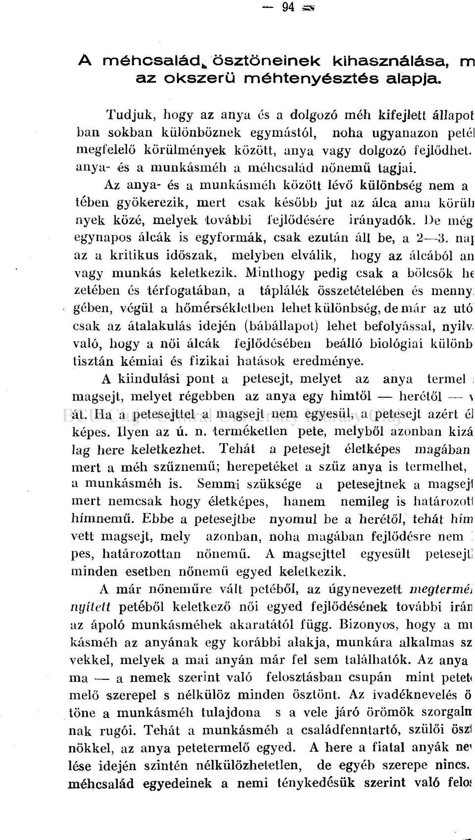 csak ezután áll be, a 2 3. naj vagy munkás keletkezik.