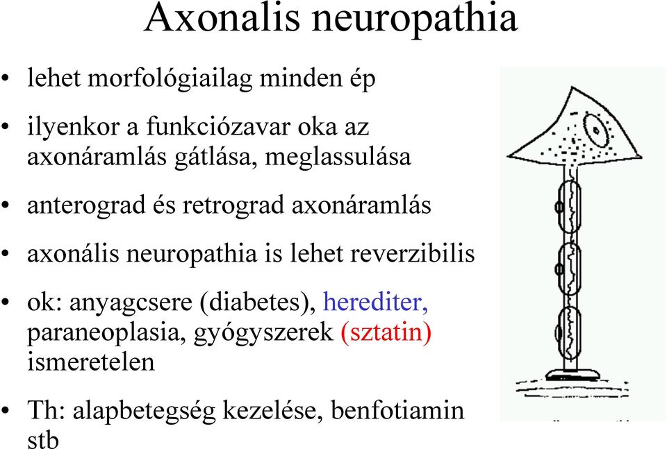 neuropathia is lehet reverzibilis ok: anyagcsere (diabetes), herediter,