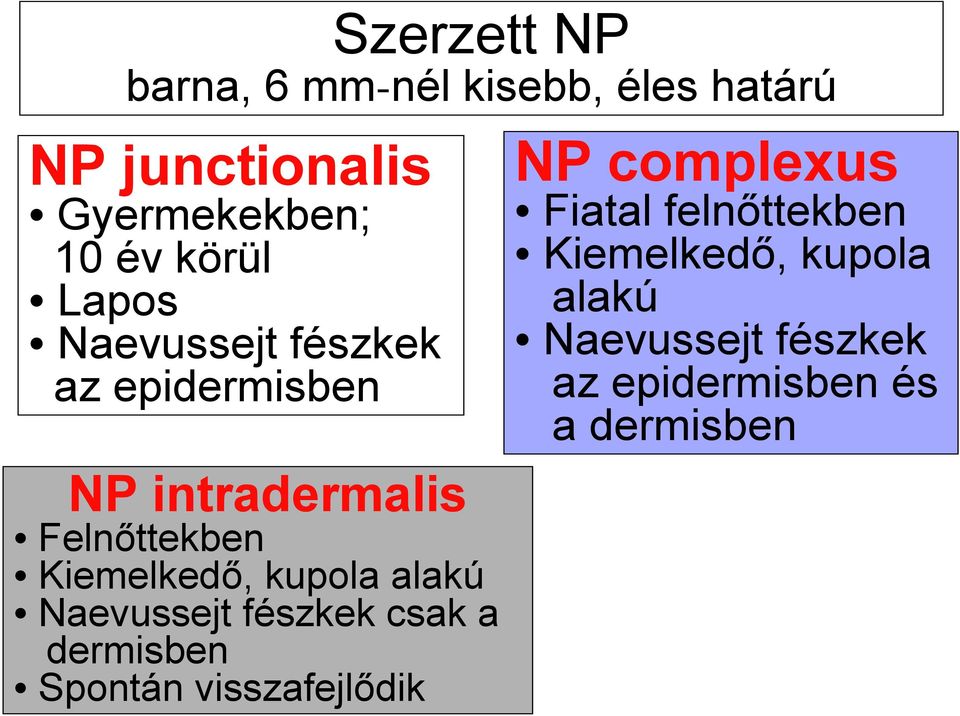 Kiemelkedő, kupola alakú Naevussejt fészkek az epidermisben és a dermisben NP