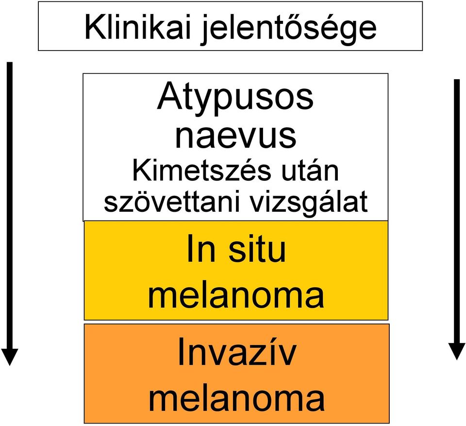 után szövettani vizsgálat