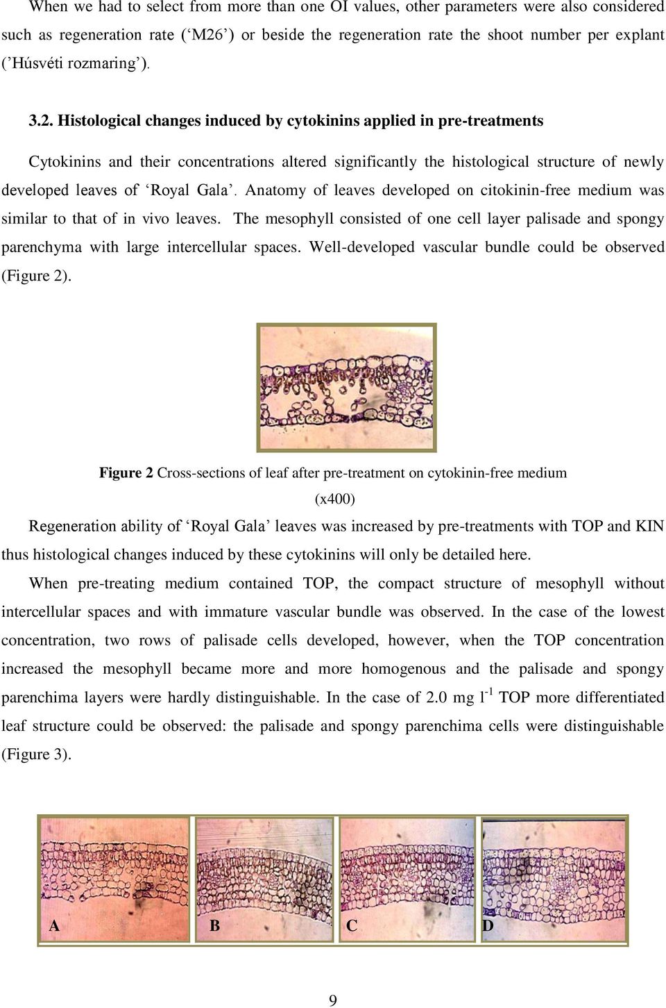 Histological changes induced by cytokinins applied in pre-treatments Cytokinins and their concentrations altered significantly the histological structure of newly developed leaves of Royal Gala.