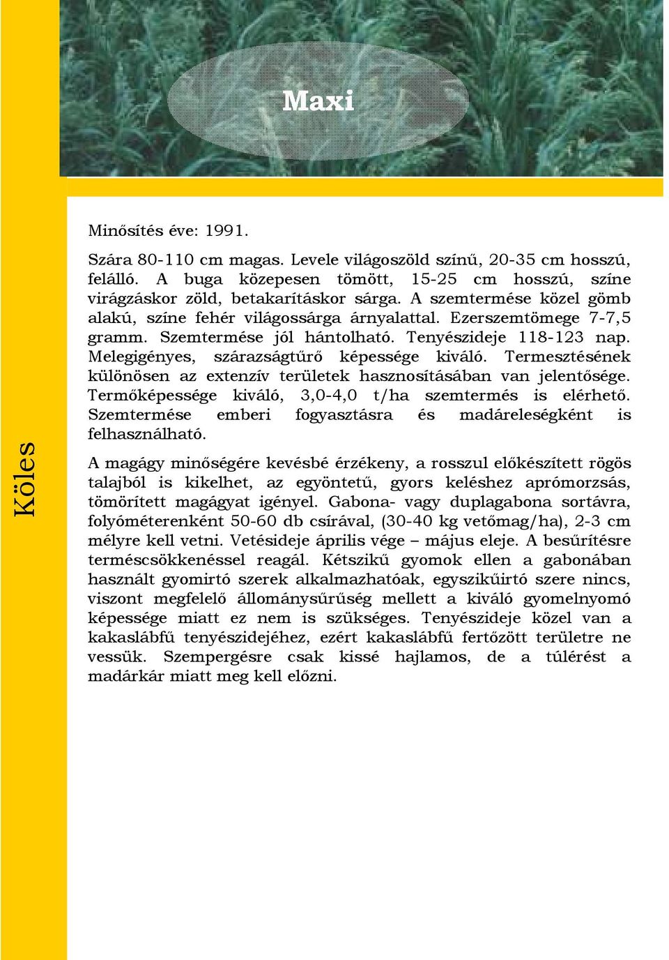 Termesztésének különösen az extenzív területek hasznosításában van jelentősége. Termőképessége kiváló, 3,0-4,0 t/ha szemtermés is elérhető.