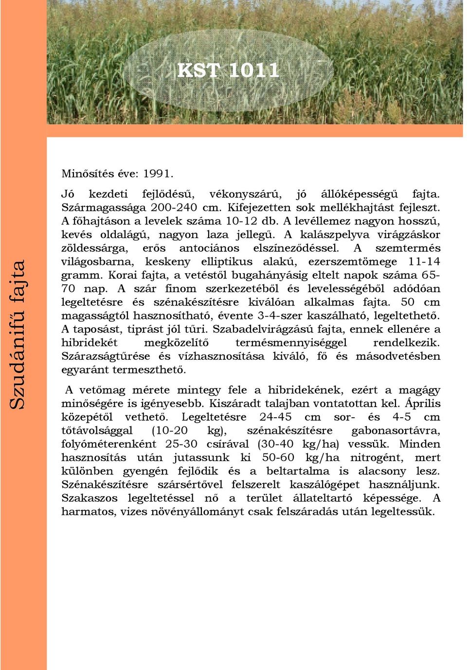 A szemtermés világosbarna, keskeny elliptikus alakú, ezerszemtömege 11-14 gramm. Korai fajta, a vetéstől bugahányásig eltelt napok száma 65-70 nap.