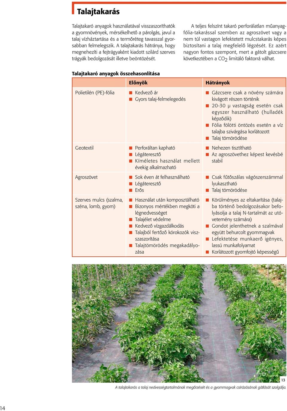 A teljes felszínt takaró perforálatlan műanyagfólia-takarással szemben az agroszövet vagy a nem túl vastagon lefektetett mulcstakarás képes biztosítani a talaj megfelelő légzését.