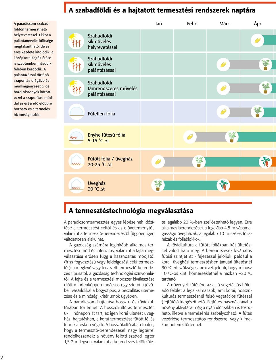 A palántázással történő szaporítás drágább és munkaigényesebb, de hazai viszonyok között ezzel a szaporítási móddal az érési idő előbbre hozható és a termelés biztonságosabb.