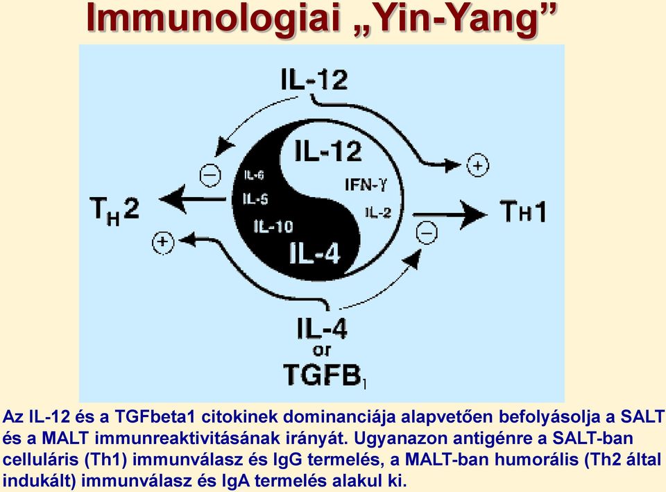 Ugyanazon antigénre a SALT-ban celluláris (Th1) immunválasz és IgG