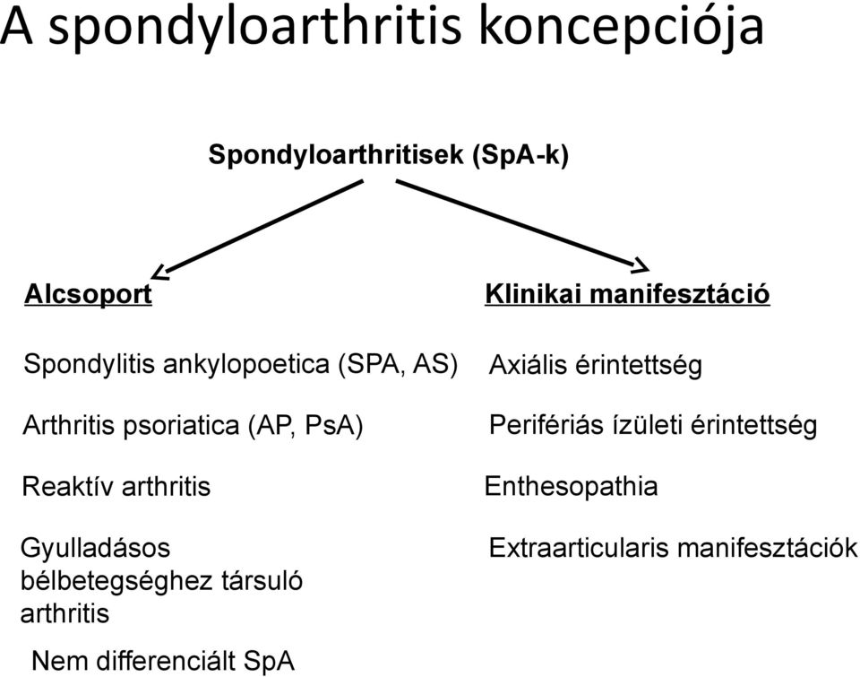 psoriatica (AP, PsA) Perifériás ízületi érintettség Reaktív arthritis Enthesopathia