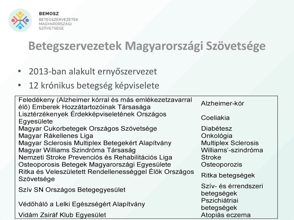 Szindróma Társaság Nemzeti Stroke Prevenciós és Rehabilitációs Liga Osteoporosis Betegek Magyarországi Egyesülete Ritka és Veleszületett Rendellenességgel Élők Országos Szövetsége Szív SN Országos