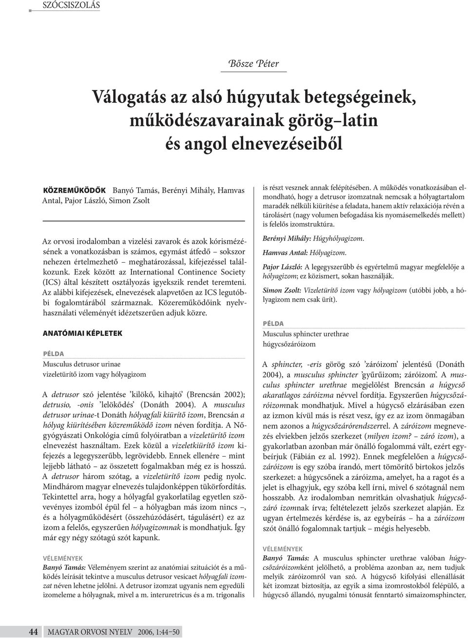 Ezek között az International Continence Society (ICS) által készített osztályozás igyekszik rendet teremteni. Az alábbi kifejezések, elnevezések alapvetően az ICS legutóbbi fogalomtárából származnak.