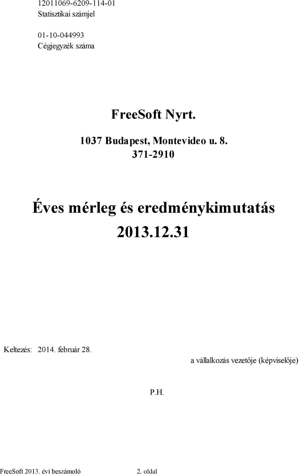 371-2910 Éves mérleg és eredménykimutatás 2013.12.