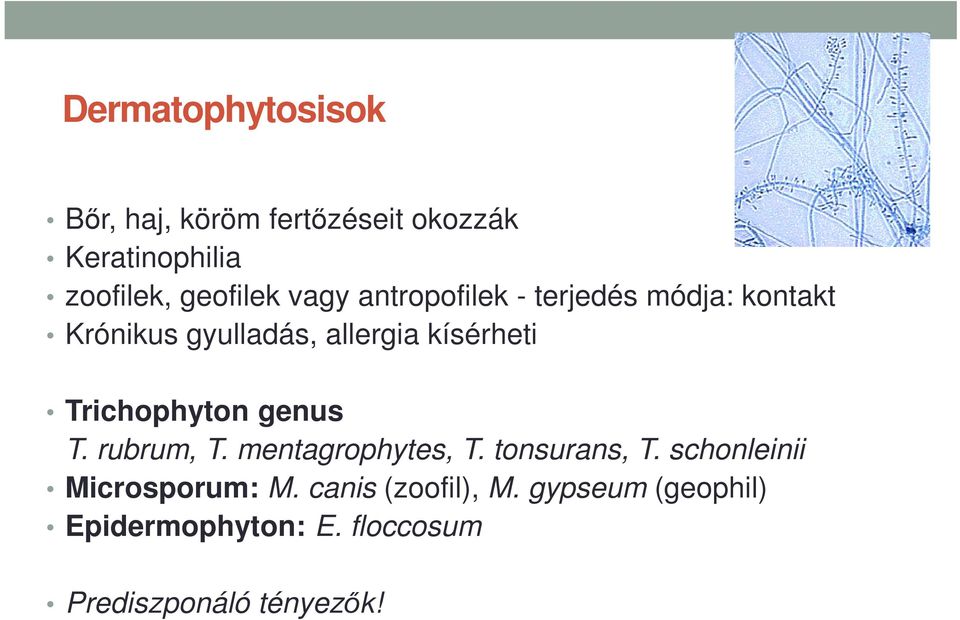 Trichophyton genus T. rubrum, T. mentagrophytes, T. tonsurans, T.