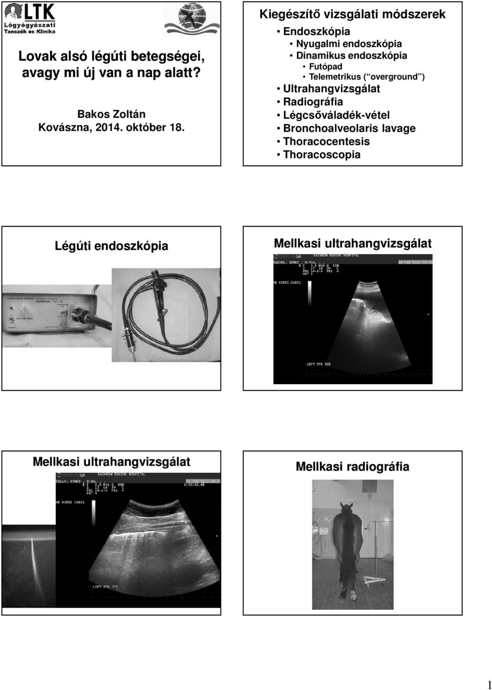 overground ) Ultrahangvizsgálat Radiográfia Légcsőváladék-vétel Bronchoalveolaris lavage Thoracocentesis