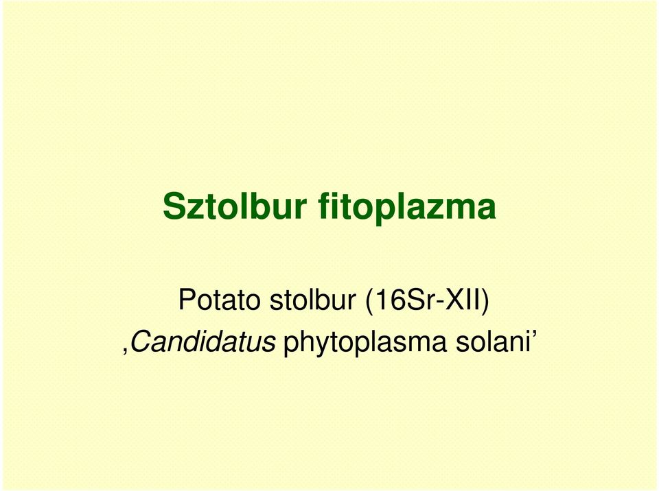 stolbur (16Sr-XII)