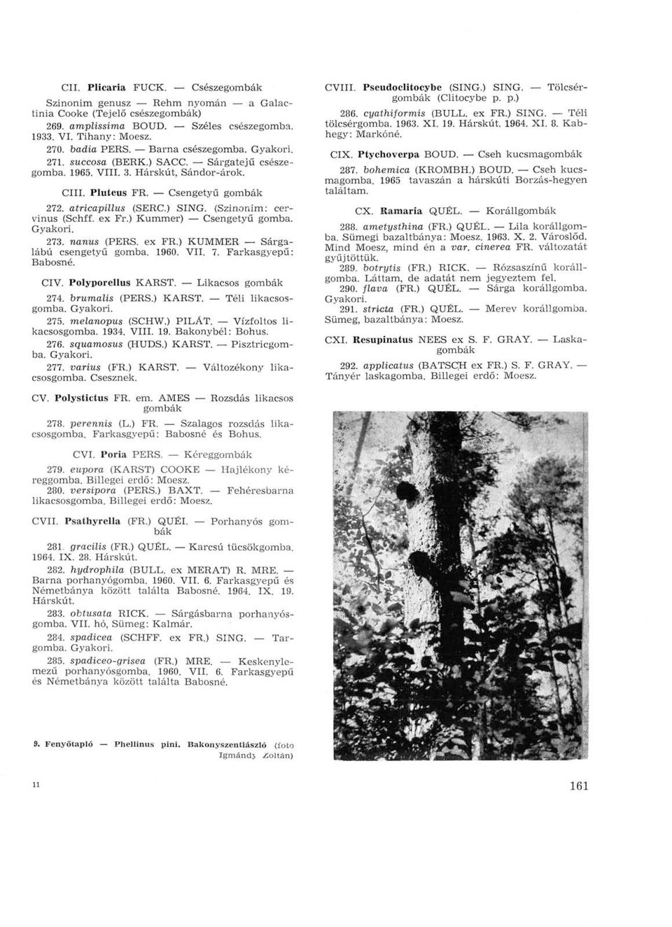 ex Fr.) Kummer) Csengetyű gomba. 273. nanus (PERS. ex FR.) KUMMER Sárgalábú csengetyű gomba. 1960. VII. 7. Farkasgyepű: Babosné. CIV. Polyporellus KARST. Likacsos gombák 274. brumalis (PERS.) KARST.