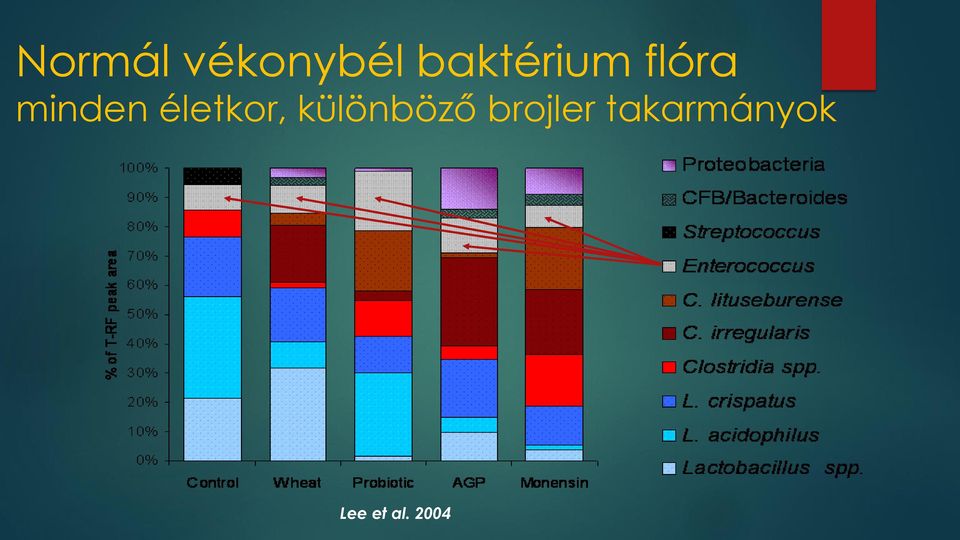 életkor, különböző