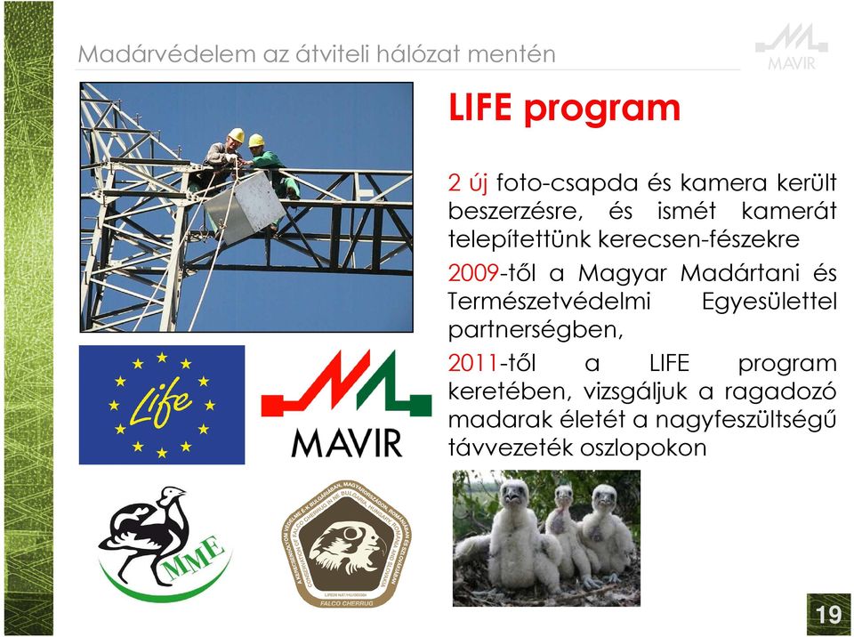 Természetvédelmi Egyesülettel partnerségben, 2011-től a LIFE program