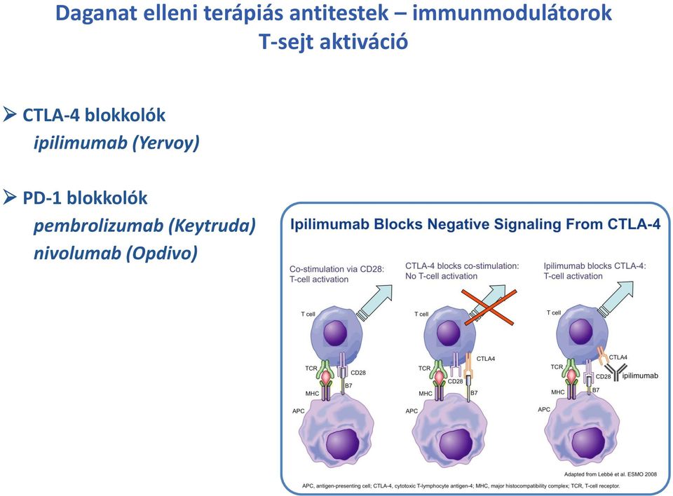 blokkolók ipilimumab (Yervoy) PD-1