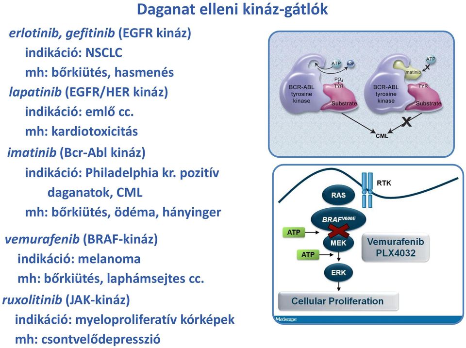 pozitív daganatok, CML mh: bőrkiütés, ödéma, hányinger vemurafenib (BRAF-kináz) indikáció: melanoma mh: