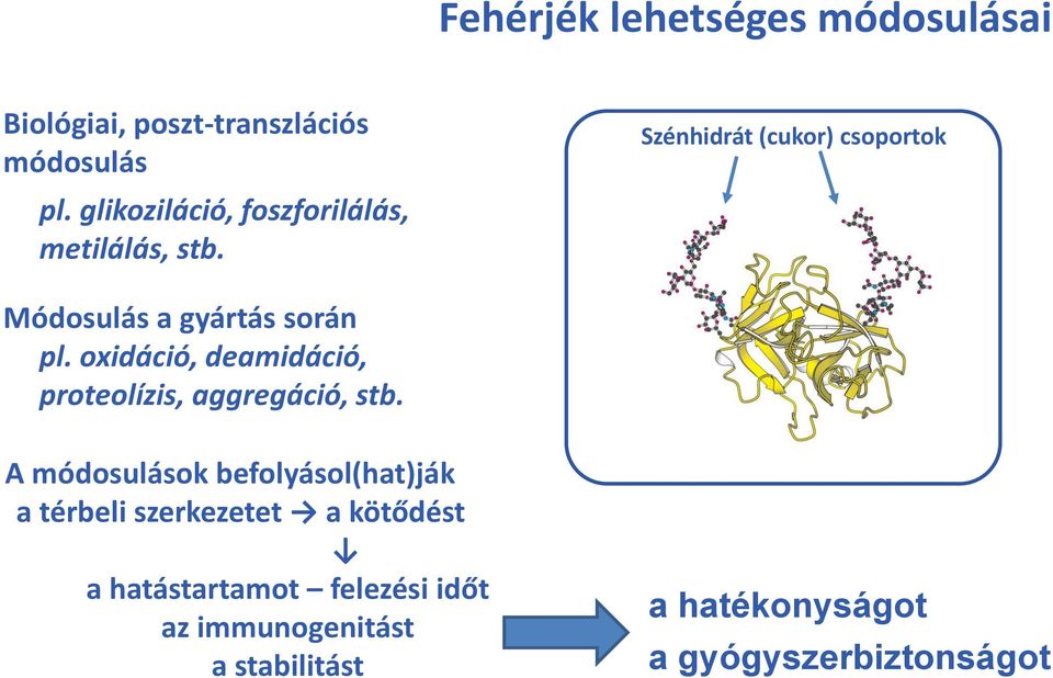 Szénhidrát (cukor) csoportok Módosulás a gyártás során pl.