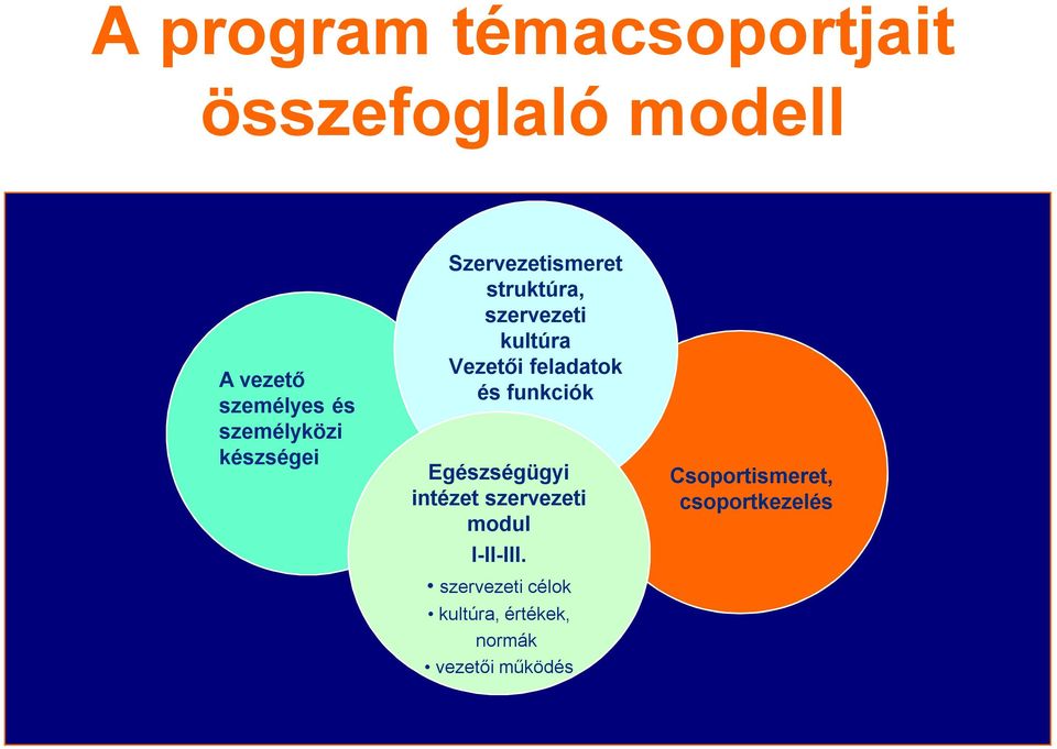 funkciók Egészségügyi intézet szervezeti modul I-II-III.