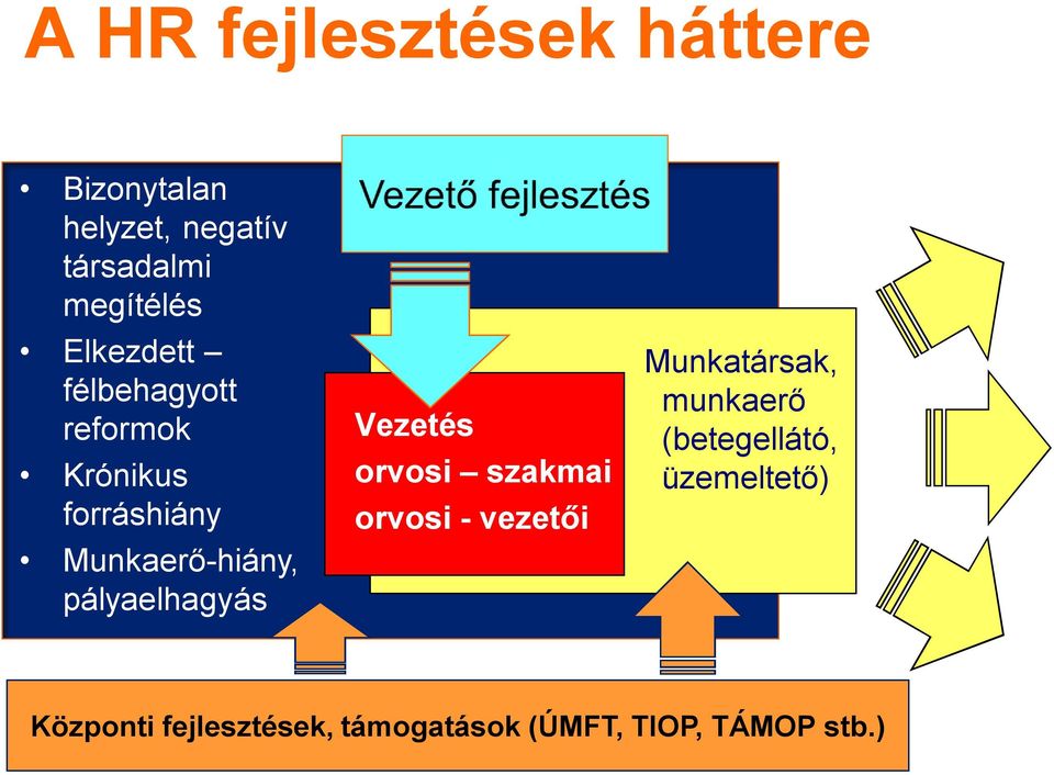 pályaelhagyás Vezetés orvosi szakmai orvosi - vezetői Munkatársak, munkaerő