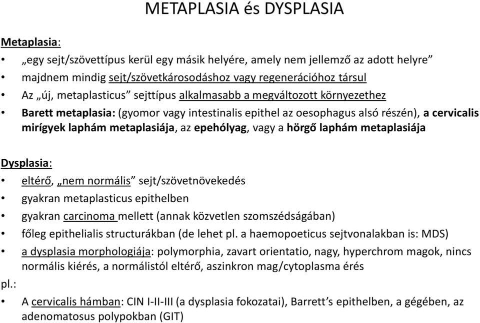 epehólyag, vagy a hörgő laphám metaplasiája Dysplasia: eltérő, nem normális sejt/szövetnövekedés gyakran metaplasticus epithelben gyakran carcinoma mellett (annak közvetlen szomszédságában) főleg