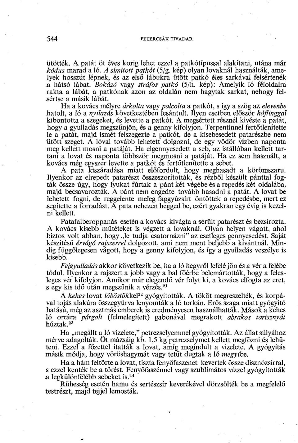 kép): Amelyik ló féloldalra rakta a lábát, a patkónak azon az oldalán nem hagytak sarkat, nehogy felsértse a másik lábát.