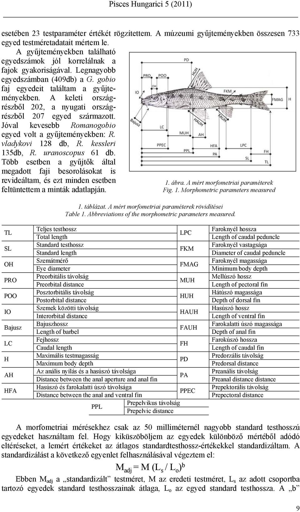 Jóval kevesebb Romanogobio egyed volt a gyűjteményekben: R. vladykovi 128 db, R. kessleri 135db, R. uranoscopus 61 db.