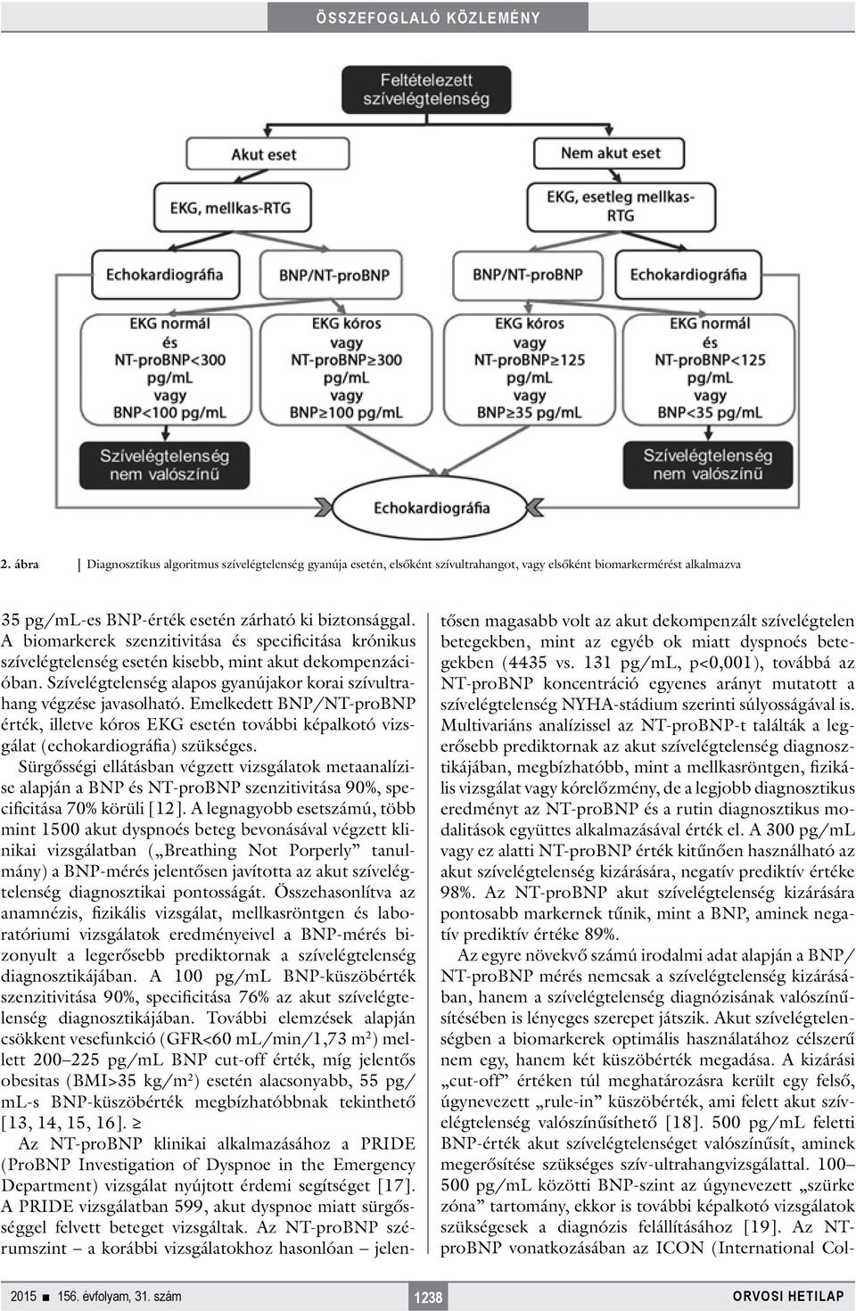 Emelkedett BNP/NT-proBNP érték, illetve kóros EKG esetén további képalkotó vizsgálat (echokardiográfia) szükséges.