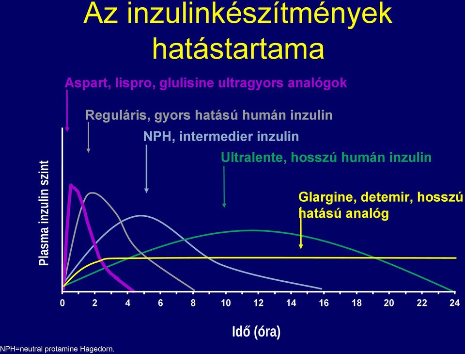 inzulin szint Ultralente, hosszú humán inzulin Glargine, detemir, hosszú