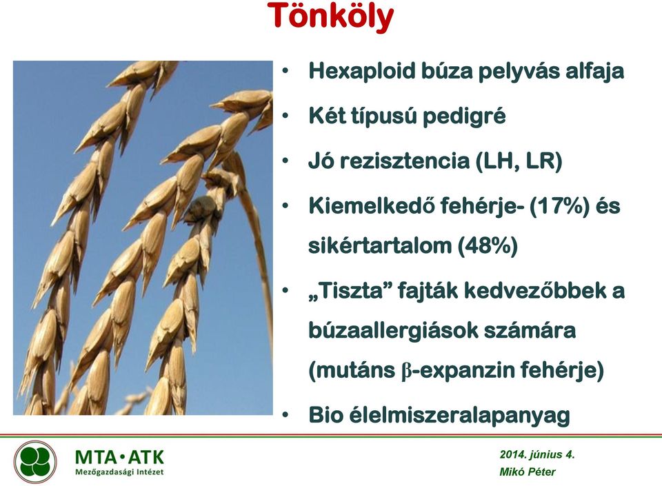 sikértartalom (48%) Tiszta fajták kedvezőbbek a