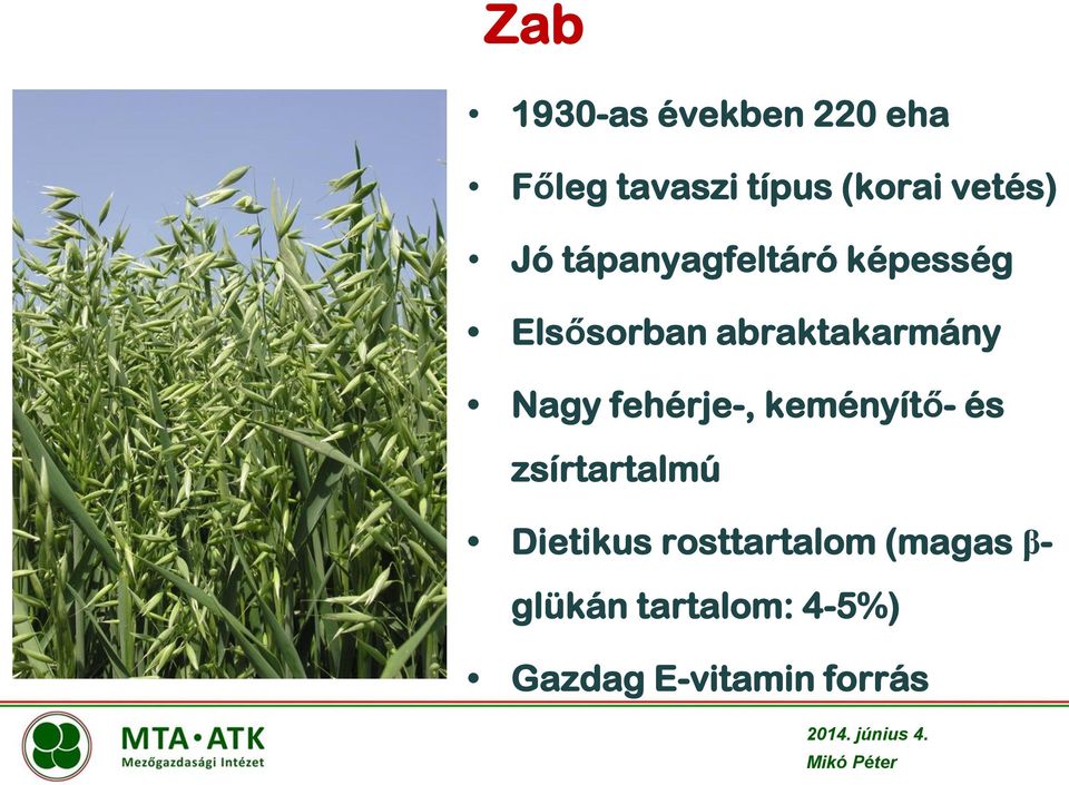 abraktakarmány Nagy fehérje-, keményítő- és zsírtartalmú