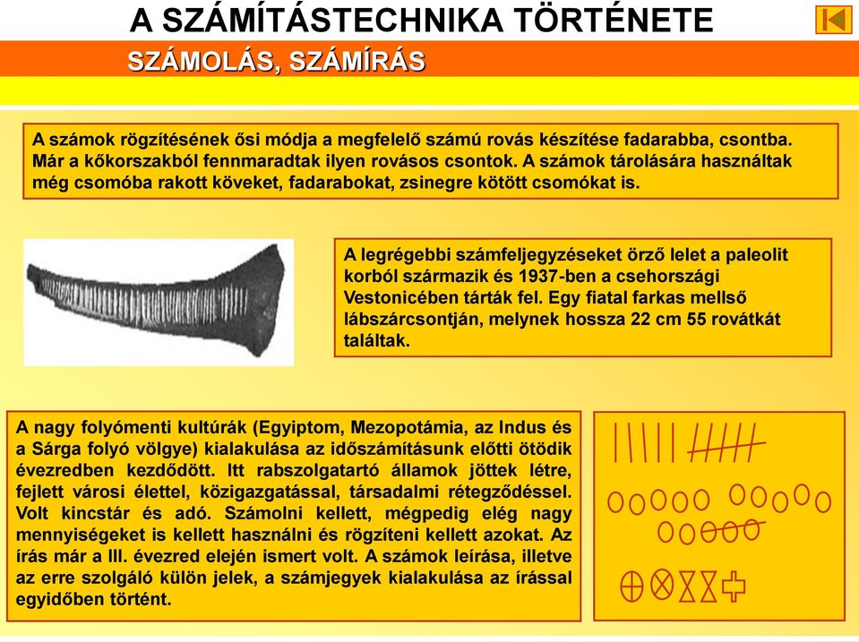 A legrégebbi számfeljegyzéseket örző lelet a paleolit korból származik és 1937-ben a csehországi Vestonicében tárták fel.