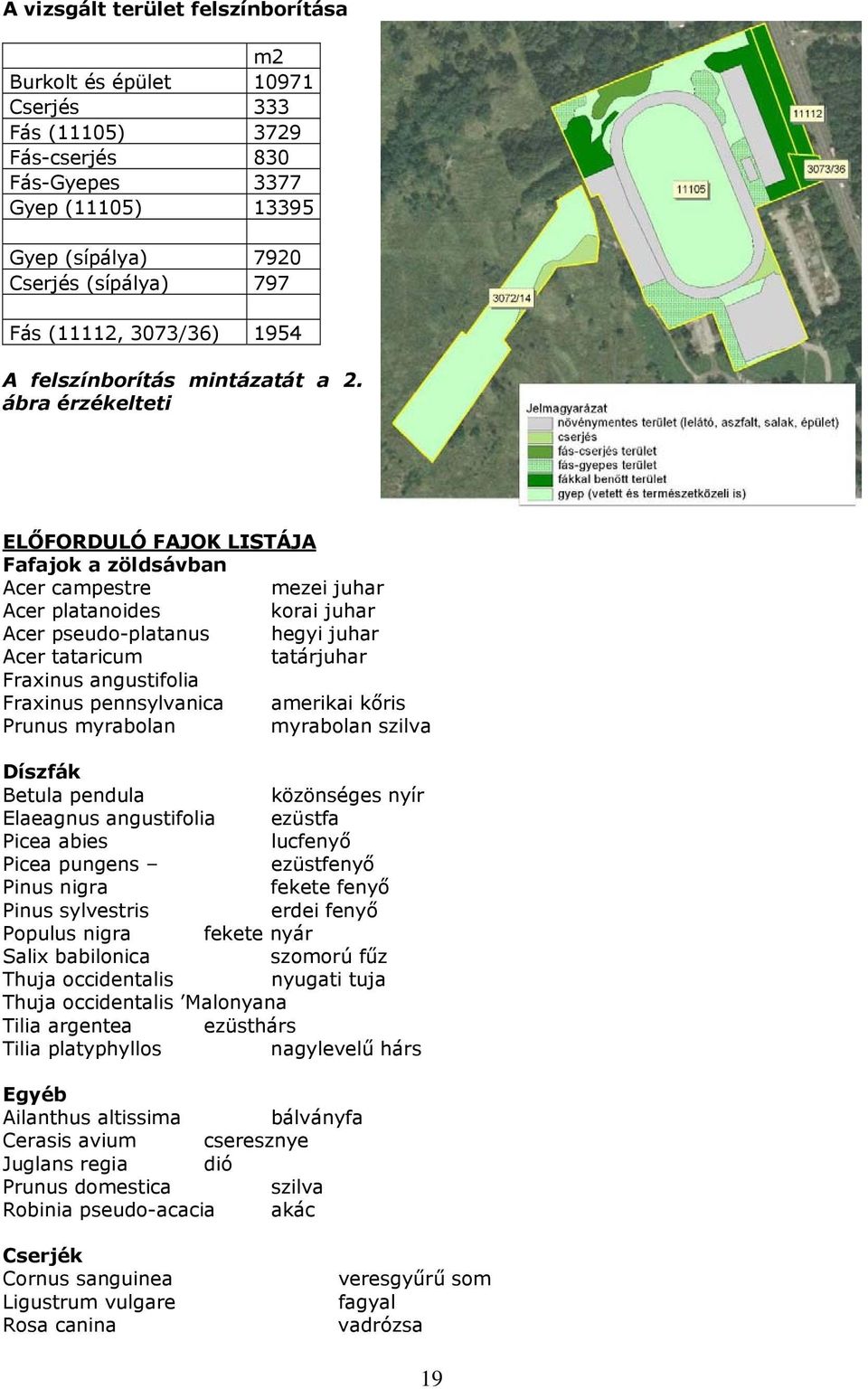 ábra érzékelteti ELŐFORDULÓ FAJOK LISTÁJA Fafajok a zöldsávban Acer campestre mezei juhar Acer platanoides korai juhar Acer pseudo-platanus hegyi juhar Acer tataricum tatárjuhar Fraxinus angustifolia