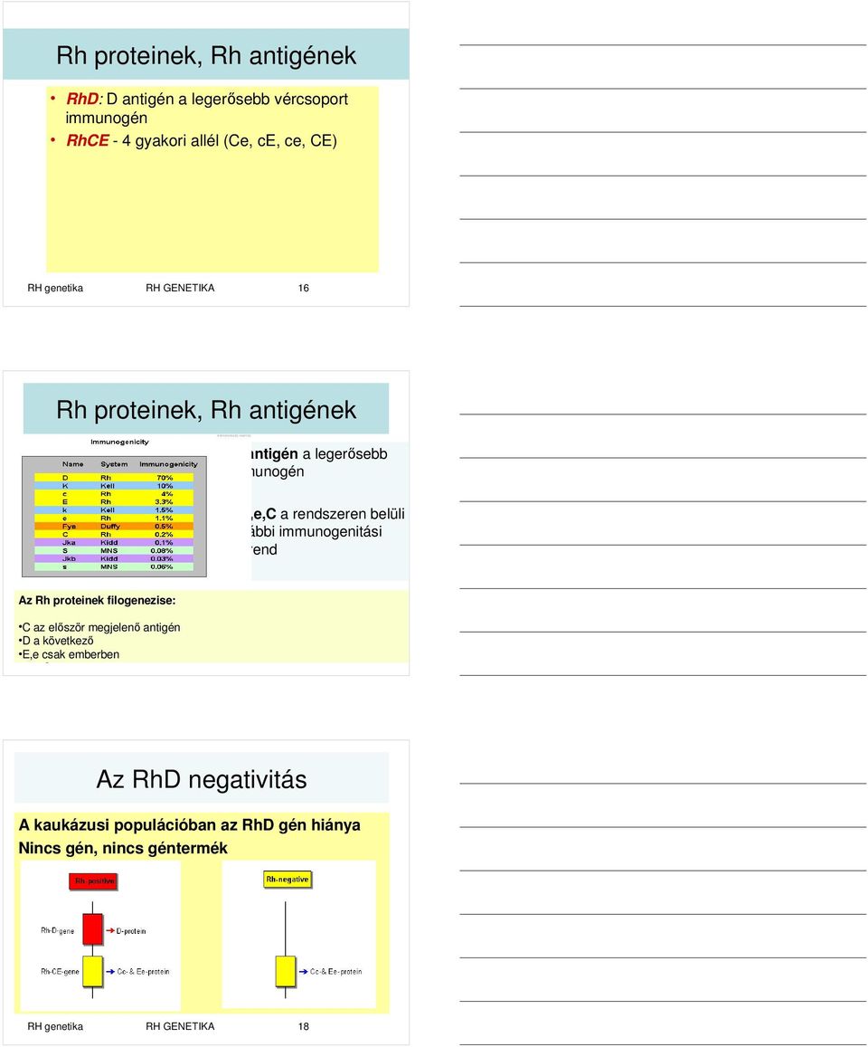 immunogenitási sorrend Az Rh proteinek filogenezise: C az elıször megjelenı antigén D a következı E,e RH csak genetika