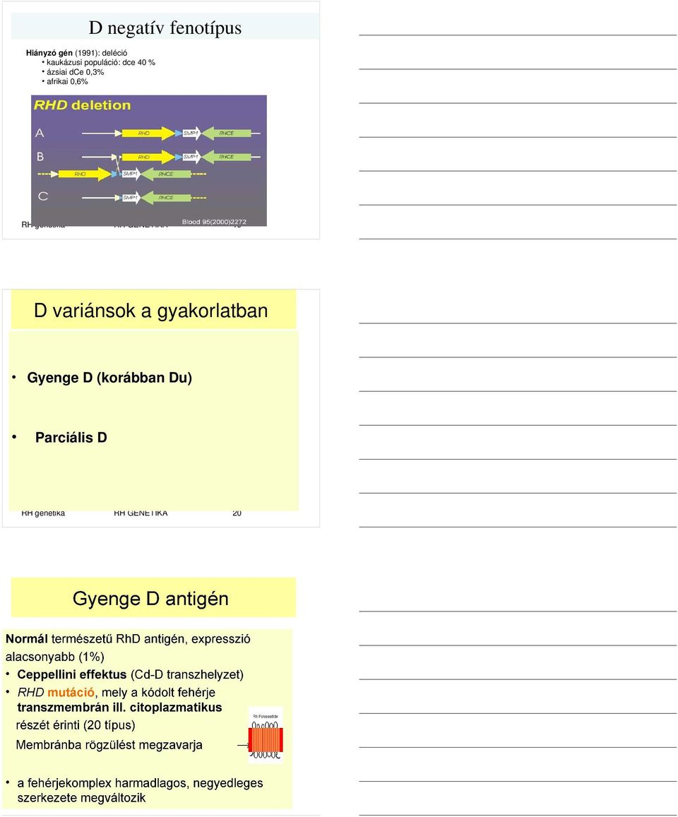 0,6% RH genetika RH GENETIKA 19 D variánsok a