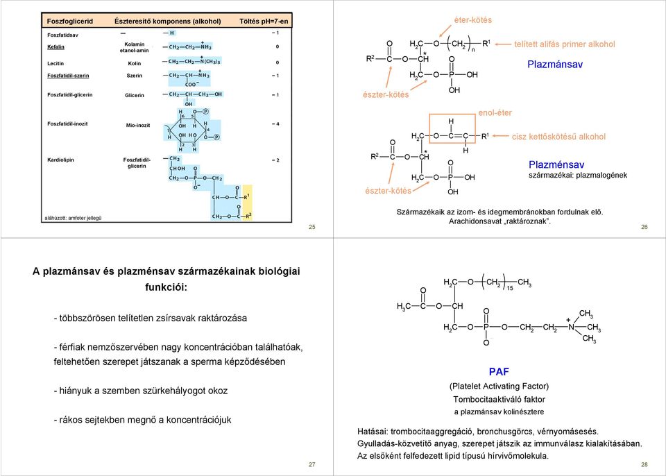észter-kötés aláhúzott: amfoter jellegő 25 Származékaik az izom- és idegmembránokban fordulnak elı. Arachidonsavat raktároznak.