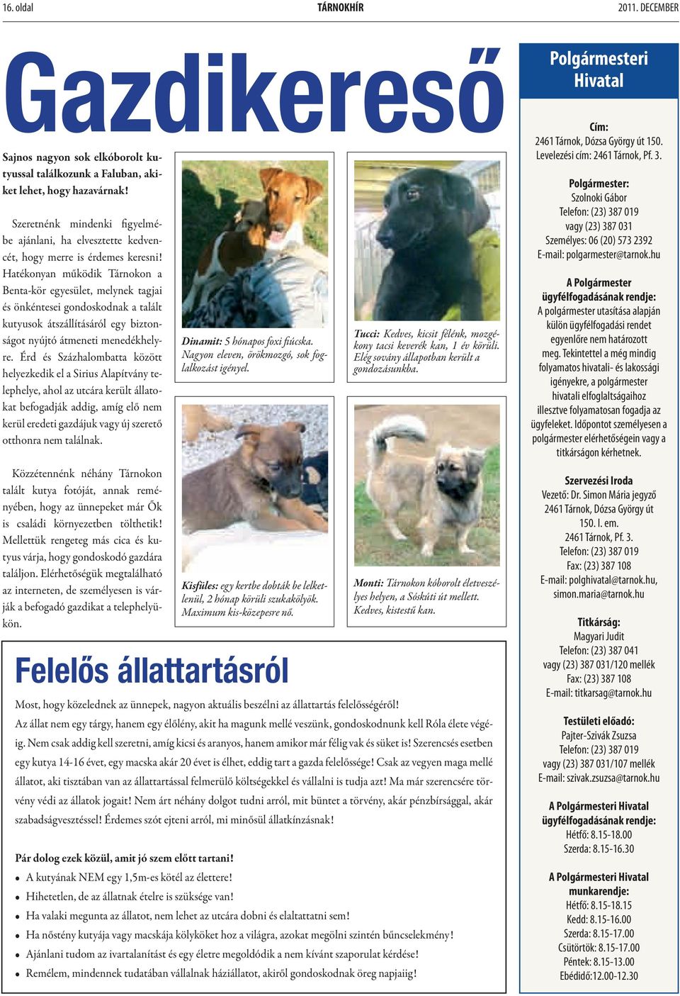 Hatékonyan működik Tárnokon a Benta-kör egyesület, melynek tagjai és önkéntesei gondoskodnak a talált kutyusok átszállításáról egy biztonságot nyújtó átmeneti menedékhelyre.