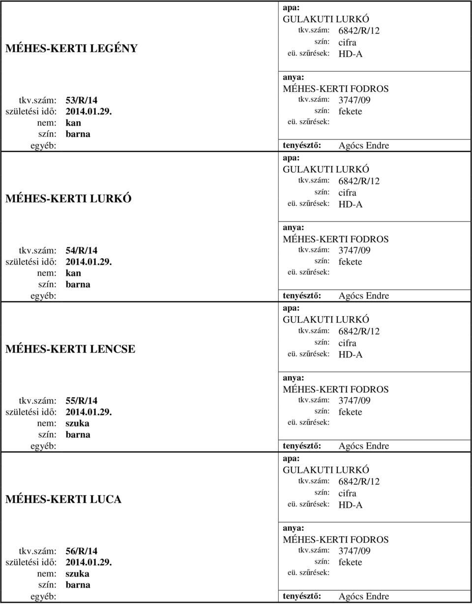 barna egyéb: tenyésztő: Agócs Endre GULAKUTI LURKÓ tkv.szám: 6842/R/12 MÉHES-KERTI LENCSE MÉHES-KERTI FODROS tkv.szám: 55/R/14 tkv.szám: 3747/09 születési idő: 2014.01.29.