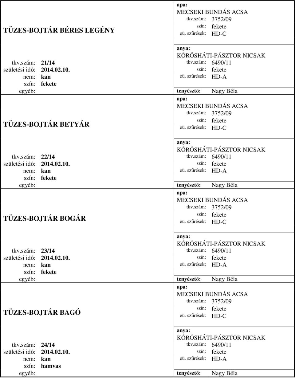 egyéb: tenyésztő: Nagy Béla TÜZES-BOJTÁR BOGÁR MECSEKI BUNDÁS ACSA tkv.szám: 3752/09 HD-C KŐRÖSHÁTI-PÁSZTOR NICSAK tkv.szám: 23/14 tkv.szám: 6490/11 születési idő: 2014.02.10.