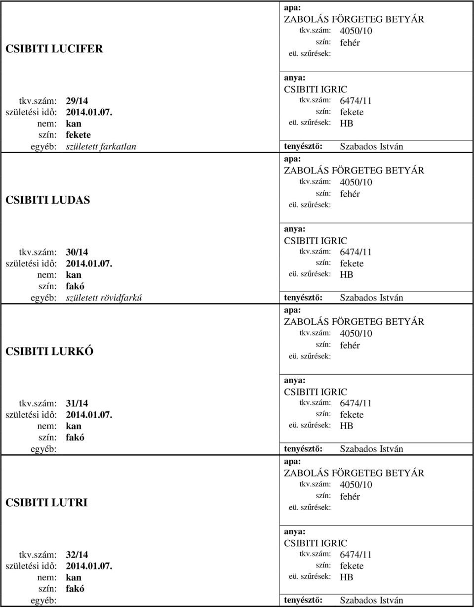 01.07. HB fakó egyéb: született rövidfarkú tenyésztő: Szabados István ZABOLÁS FÖRGETEG BETYÁR tkv.szám: 4050/10 CSIBITI LURKÓ fehér CSIBITI IGRIC tkv.szám: 31/14 tkv.