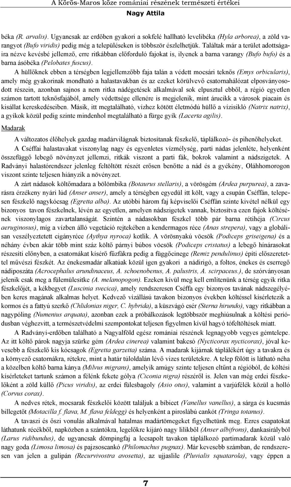 Találtak már a terület adottságaira nézve kevésbé jellemző, erre ritkábban előforduló fajokat is, ilyenek a barna varangy (Bufo bufo) és a barna ásóbéka (Pelobates fuscus).