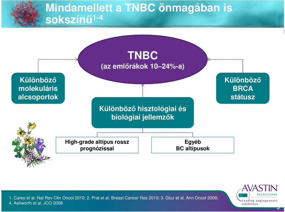 High-grade altípus rossz prognózissal Egyéb BC altípusok 1. Carey et al.